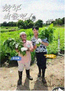 母亲的朋友 综艺 在线观看